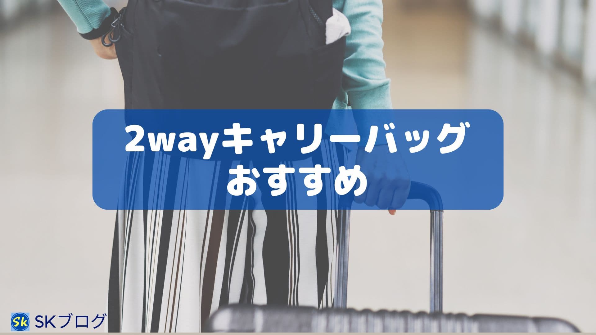 2wayキャリーバッグ