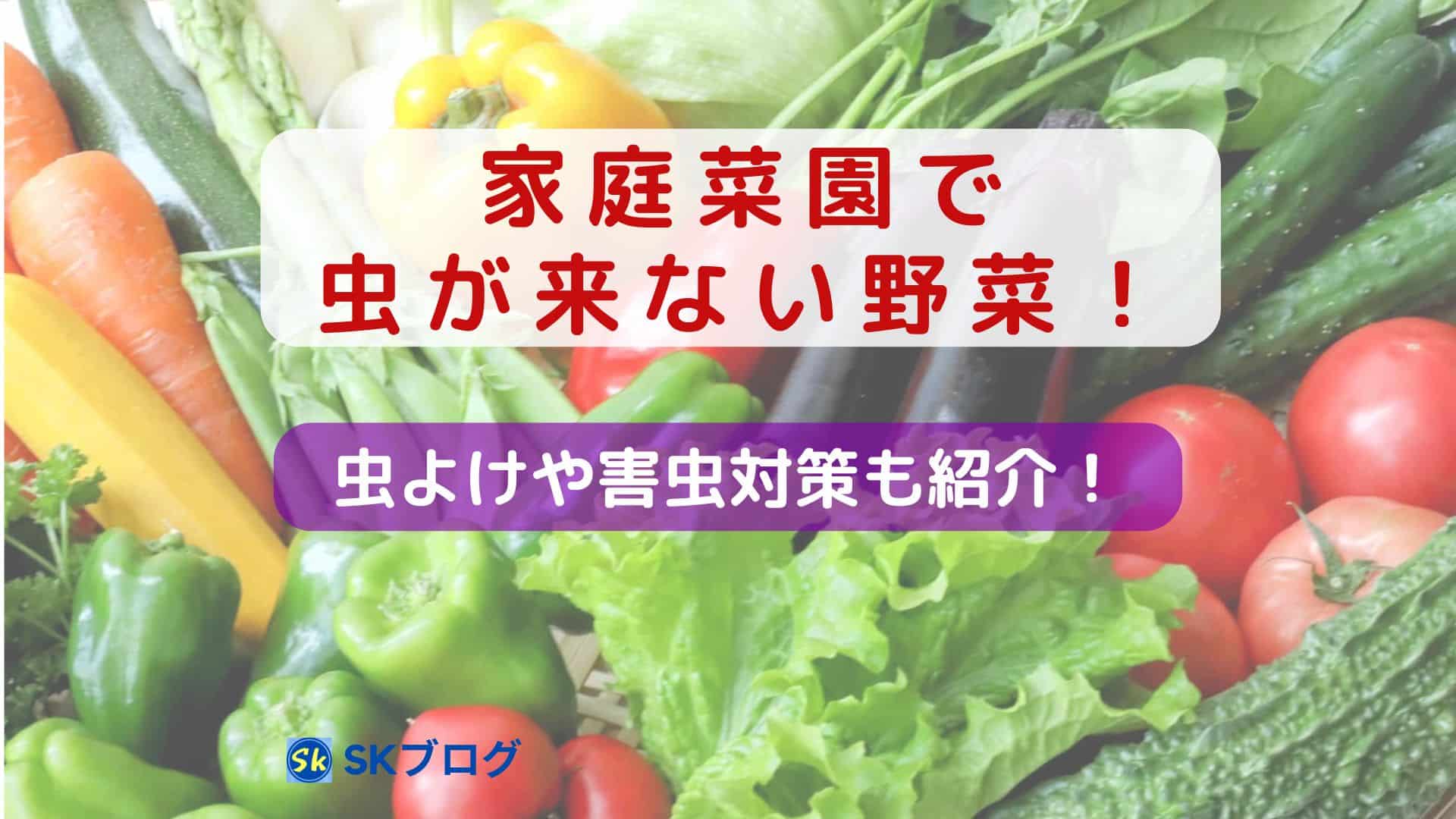 家庭菜園で虫が来ない野菜
