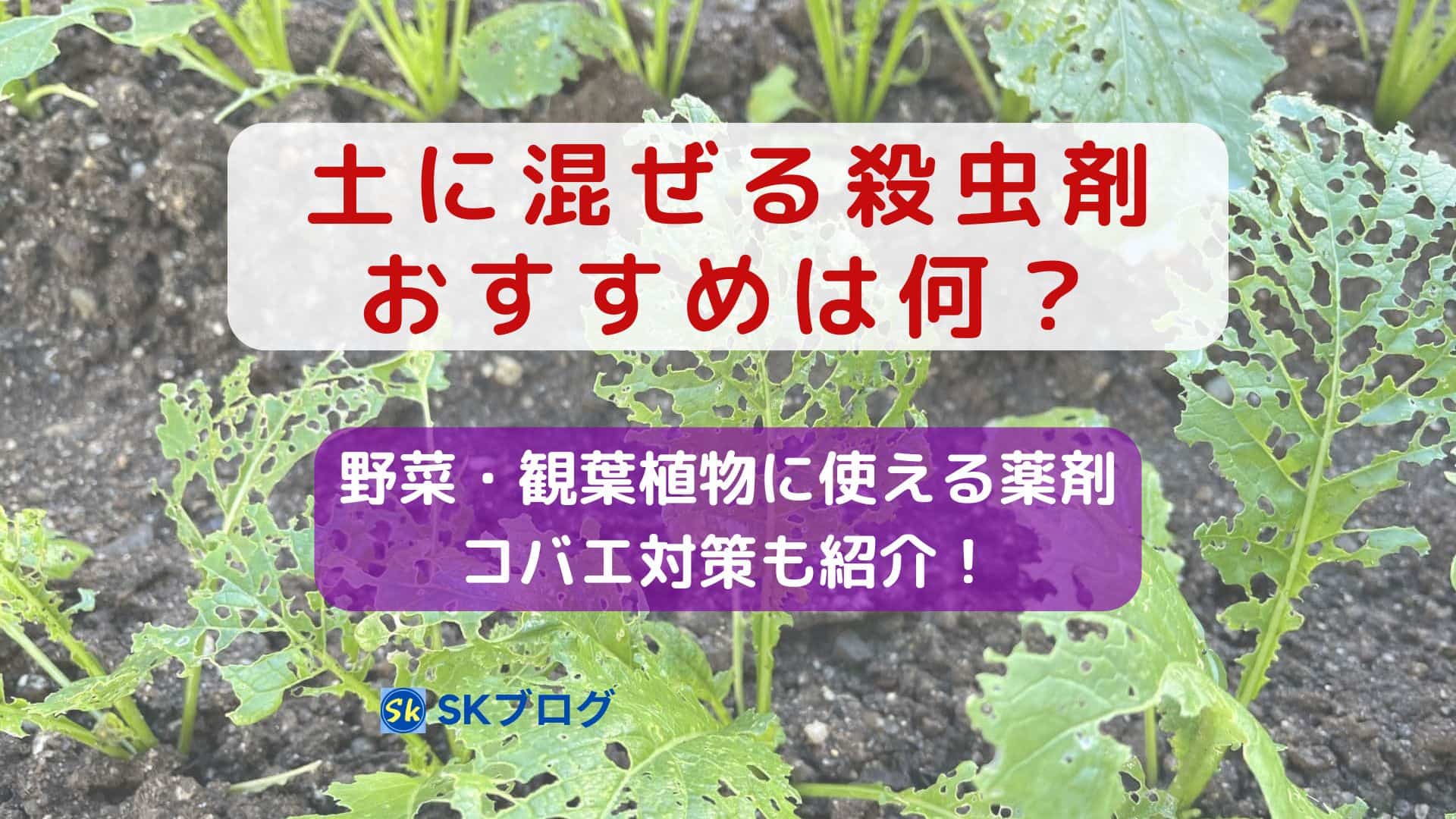 土に混ぜ津殺虫剤のおすすめ!コバエ対策も紹介
