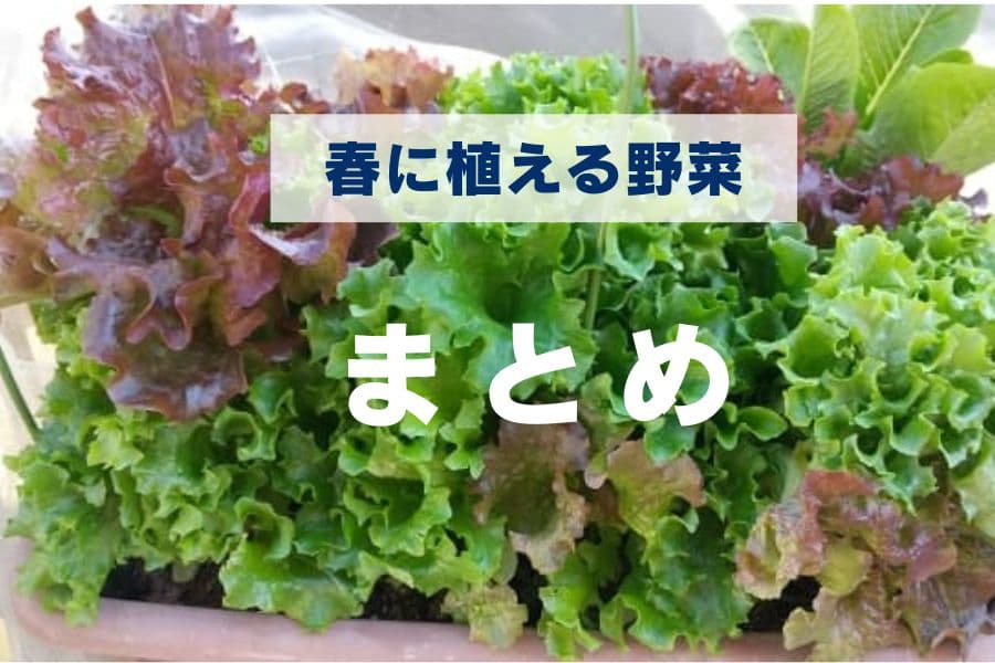 spring-vegetable-matome