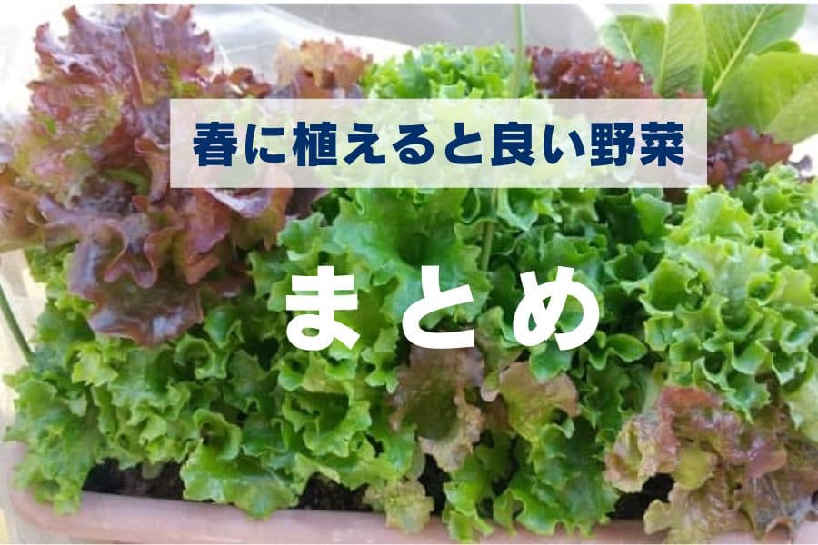 春に植えると良い野菜