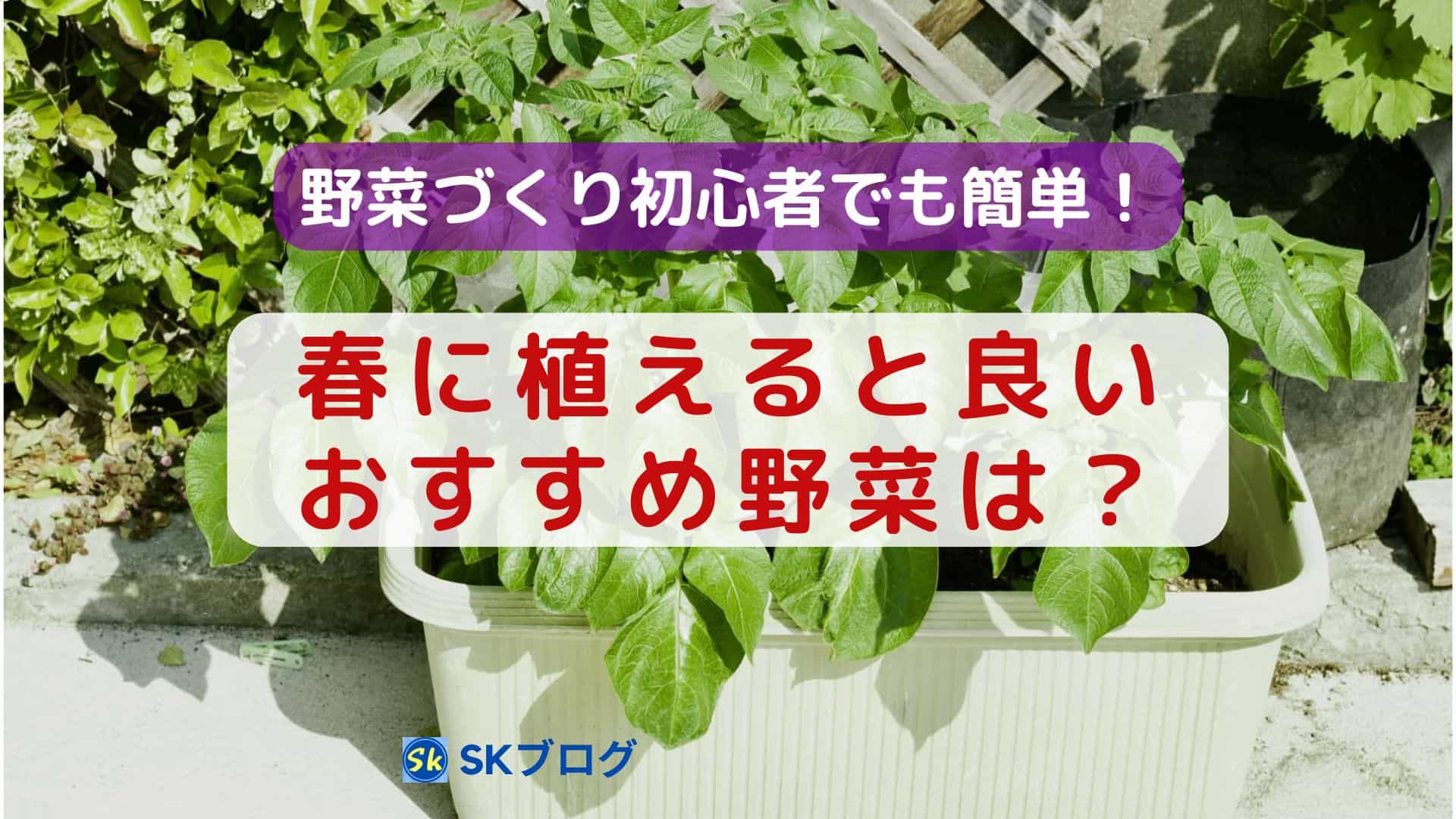 春に植えると良い野菜