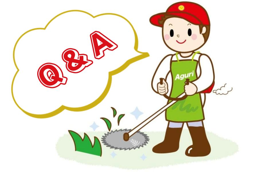 Q&A