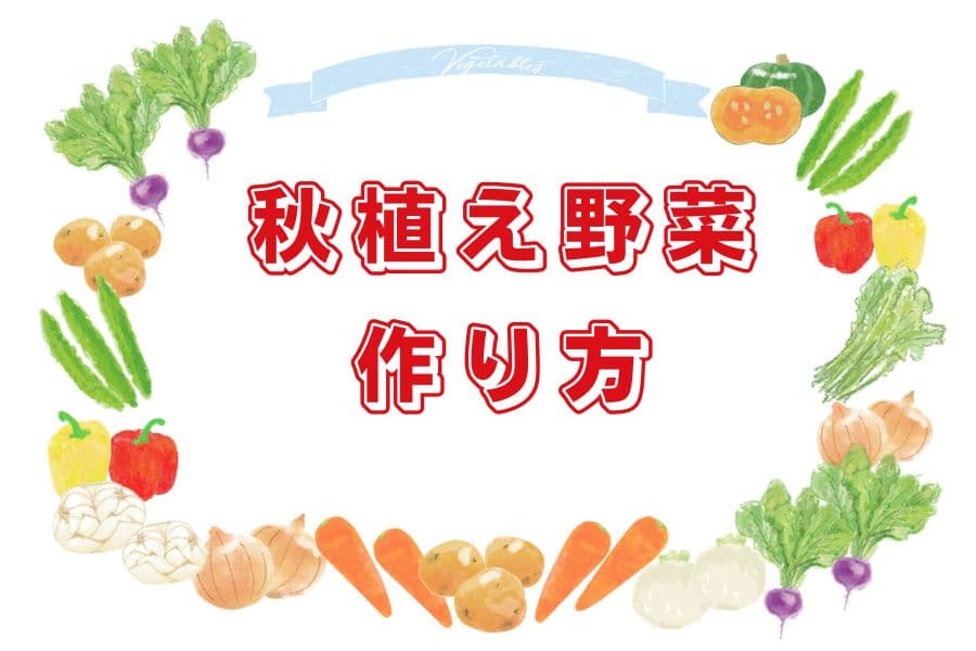 秋植え野菜の作り方