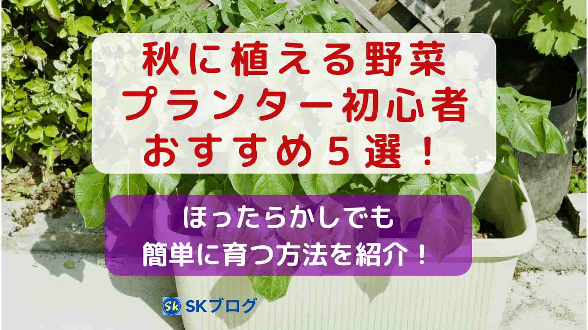 秋に植える野菜でプランター初心者におすすめ5選