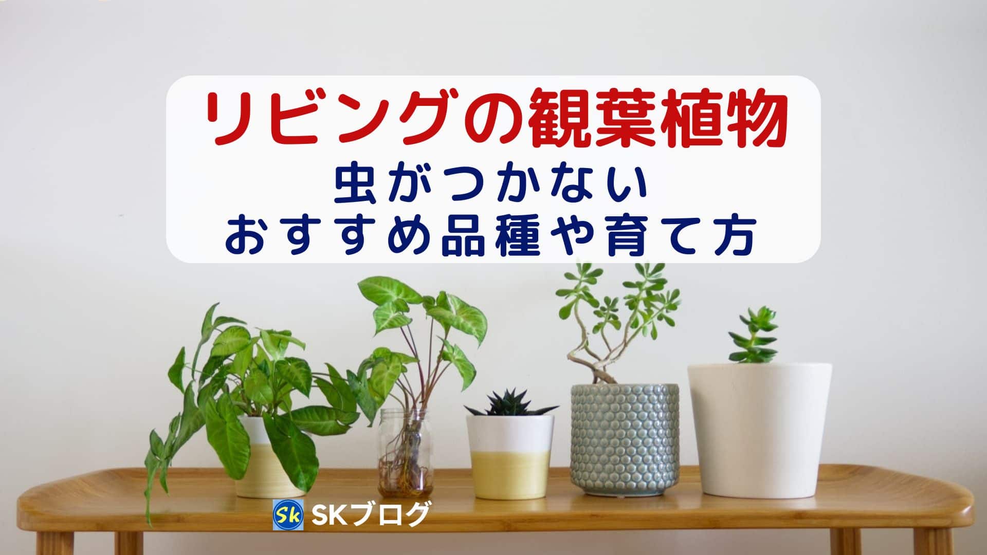 リビングの観葉植物で虫がつかない品種や育て方