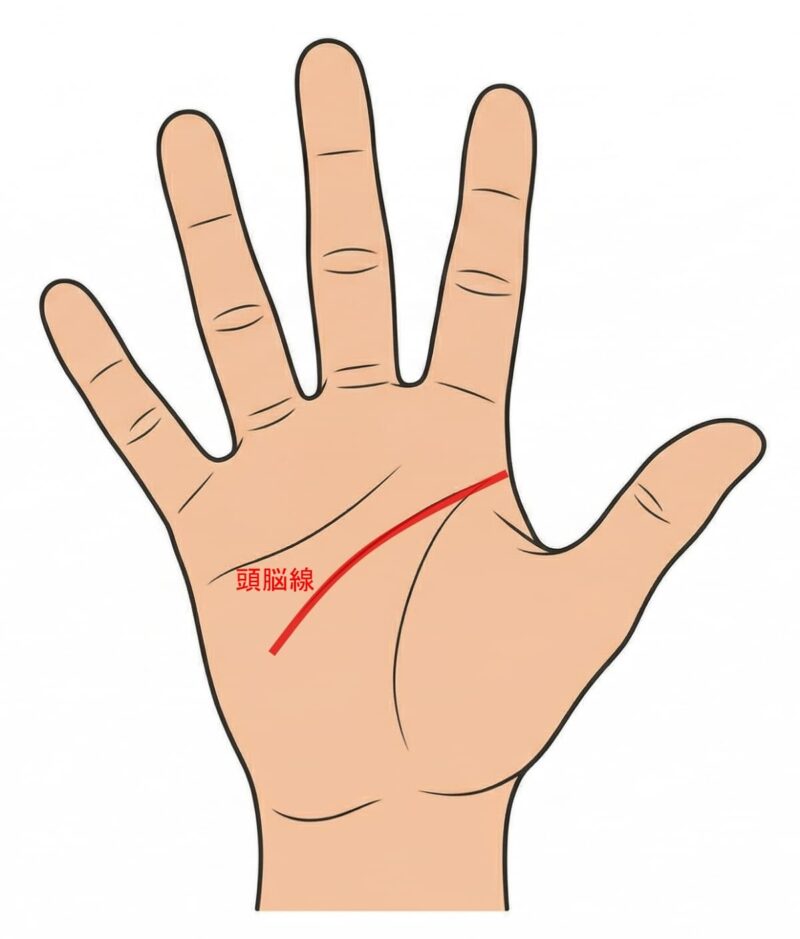 手相 右手_頭脳線01
