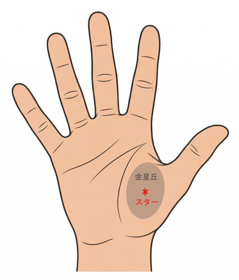 手相 右手_金星丘のスター(星紋)