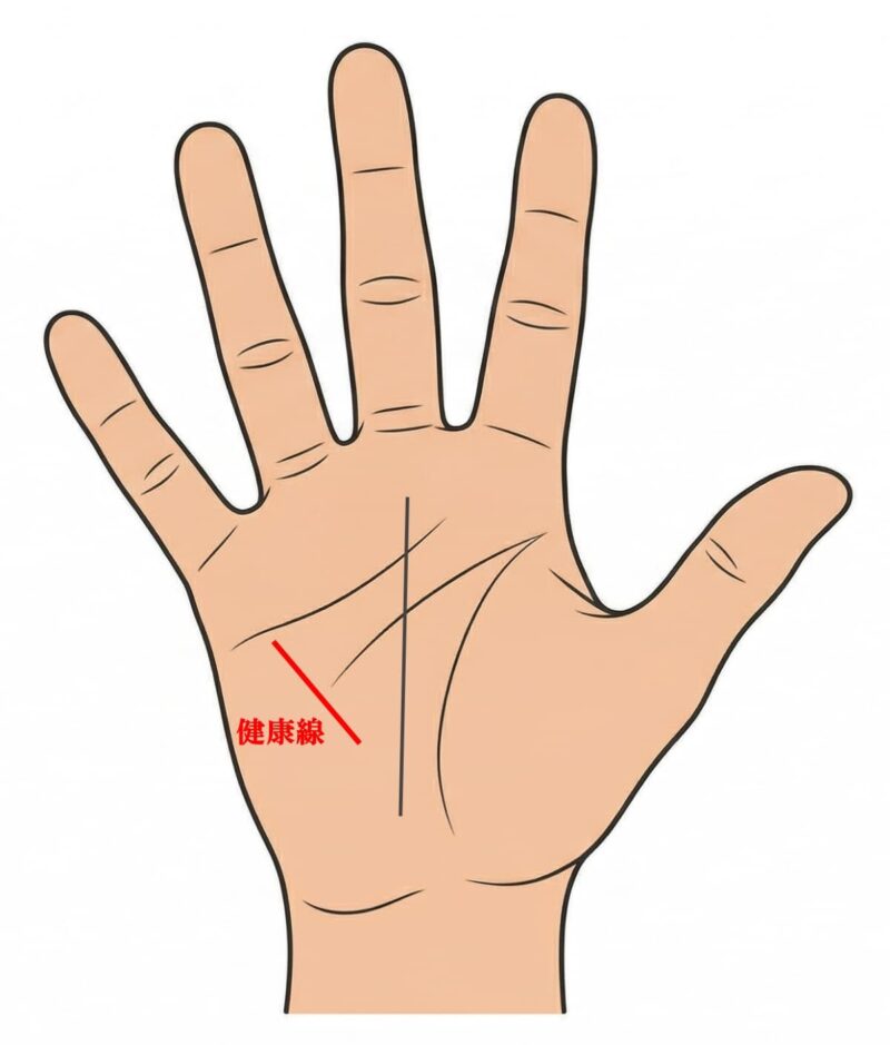 手相 右手_健康線01