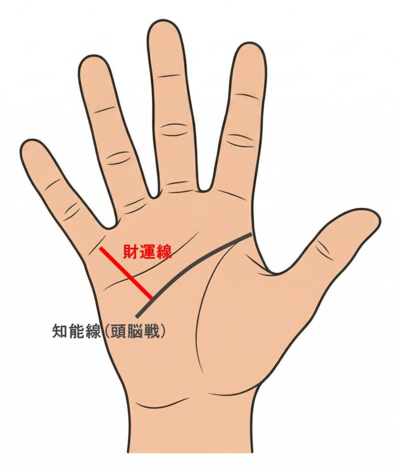手相 右手_財運線と知能線