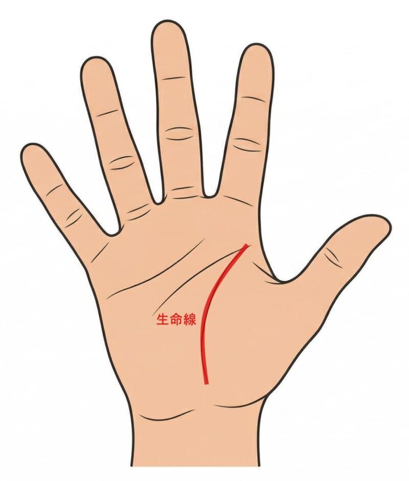 手相 右手_生命線01