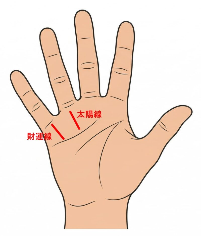 手相 右手_財運線と太陽線
