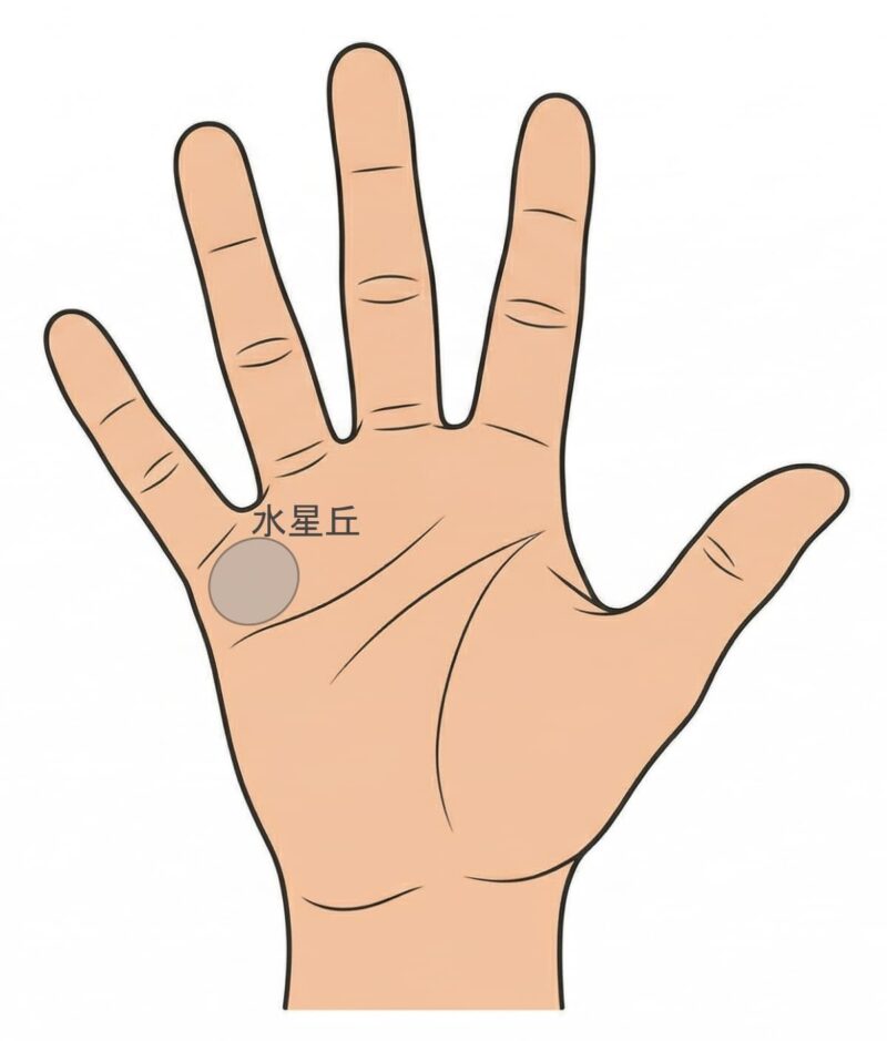手相 右手_水星丘