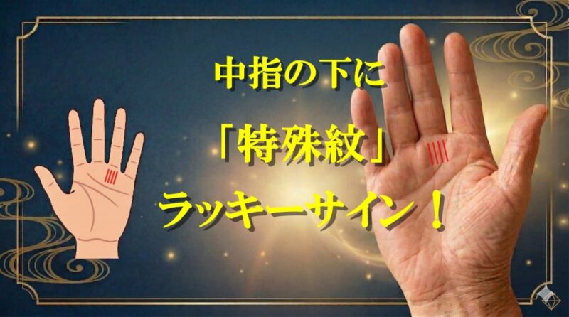 中指の下の縦線06