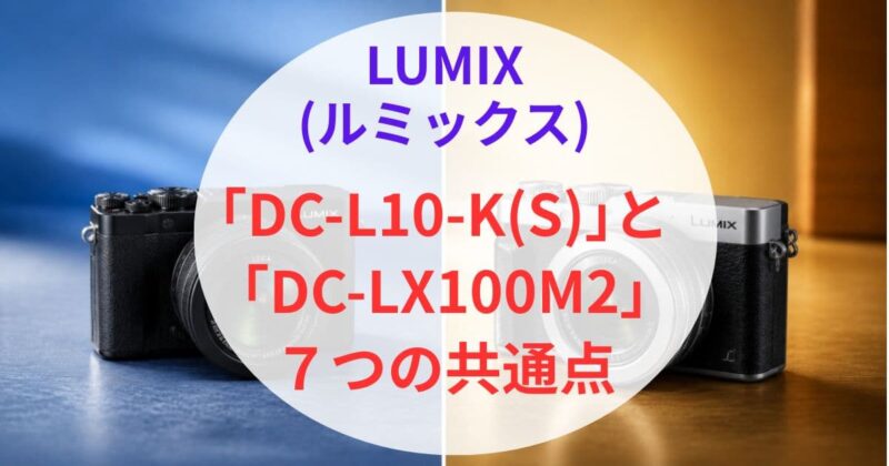 DC-L10とDC-LX100M2の違い02