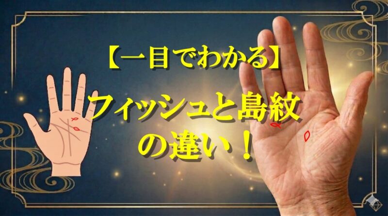 フィッシュと島の違い03