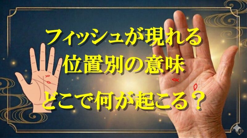 フィッシュと島の違い05