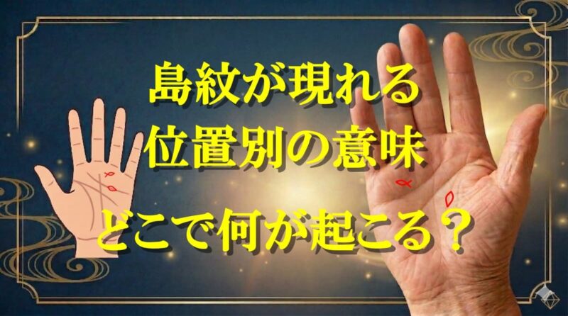 フィッシュと島の違い06