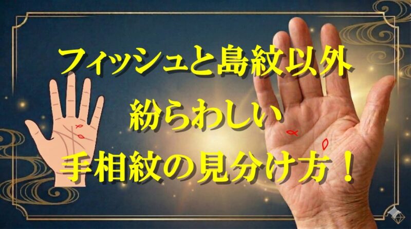 フィッシュと島の違い07
