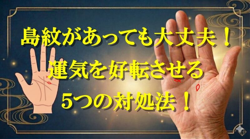 フィッシュと島の違い08