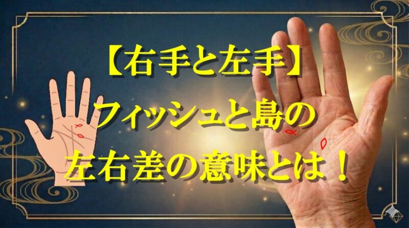 フィッシュと島の違い09