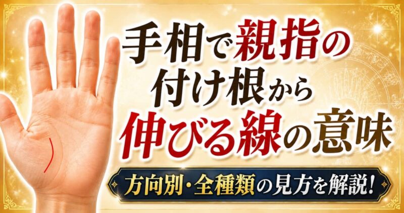 手相で親指の付け根から伸びる線00_1