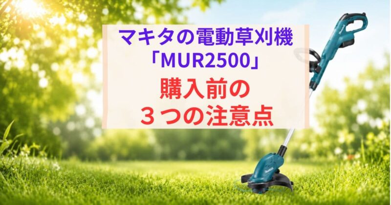 MUR2500の口コミ06