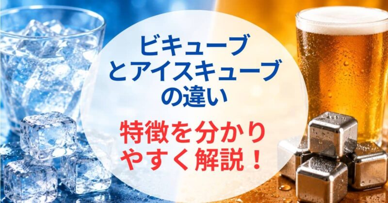 ビアキューブとアイスキューブの違い01_1